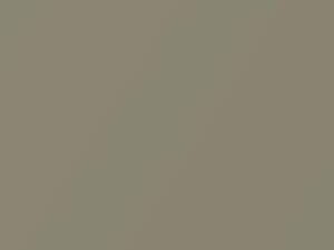 Borrego Beige Metallic touch-up paint for Honda Civic Hybrid, code YR566M, 2007