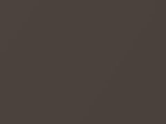 Grayish Brown Metallic touch-up paint for Nissan Murano, code CAB, 2009