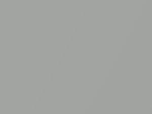 BMW Lime Rock Gray Metallic touch up paint C39 2020 M4