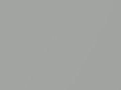 BMW Lime Rock Gray Metallic touch up paint C39 2019 M4