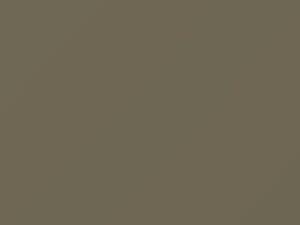 Sandrock Beige Metallic touch-up paint for Infiniti G37, code EV0, 2001