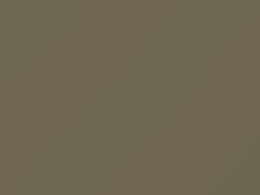 Beige Metallic touch-up paint for Nissan Xterra, code EV0, 2009