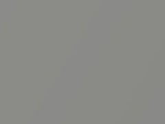 Buran Silver Metallic touch-up paint for Honda Odyssey, code NH743M, 2017