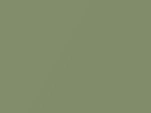 Kiwi Green Metallic touch-up paint for Mazda, code 36V, NZ, 2010