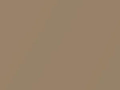 Gold Metallic touch-up paint for Chevrolet Express, code 398E, 60, WA398E, 2000