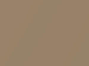 Gold Metallic touch-up paint for Chevrolet Express, code 398E, 60, WA398E, 2000