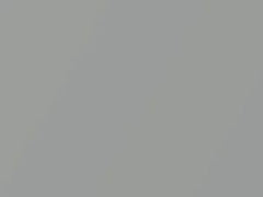 Silver Stone Metallic touch-up paint for Subaru Baja, code 19X, 2002