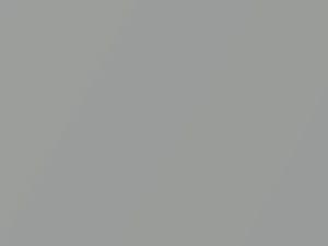 Silver Stone Metallic touch-up paint for Subaru, code 19X, 2002