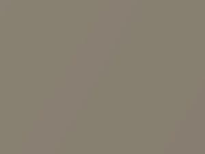 Audi Titanium Beige Metallic touch up paint 0N 2016 All Models