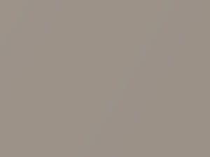 Light Beige Metallic touch-up paint for Buick Electra, code 57, 9805, WA9805, 1995