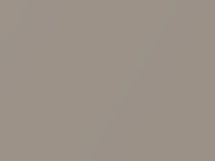 Light Beige Metallic touch-up paint for Buick Riviera, code 57, 9805, WA9805, 1993