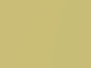 Banana Shake Metallic touch-up paint for Daihatsu Passo, code Y08, 2012