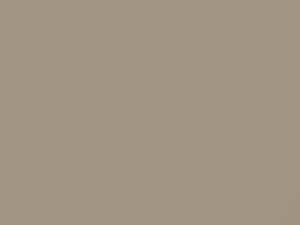 Cashmere Metallic touch-up paint for Chevrolet, code 19B, 32B, WA32B, 2006
