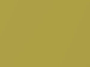 BMW Frozen Yellow Metallic Matte touch up paint P5P 2018 I8