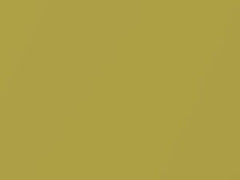 BMW Frozen Yellow Metallic Matte touch up paint P5P 2018 I8