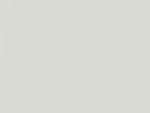 Moonlight White Pearl touch-up paint for Infiniti EX35, code QAA, 2010