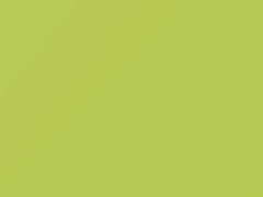 Stream Green touch-up paint for Smart, code C43L, EA9, 2007