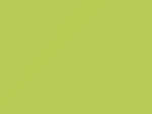 Stream Green touch-up paint for Smart Fortwo, code C43L, EA9, 2004