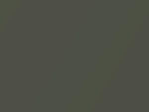 Woodlands Green Metallic touch-up paint for Rolls Royce, code R39, WR39, 2012