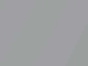 Silver Metallic touch-up paint for Cadillac Allante, code 30, 9065, WA9065, 1990