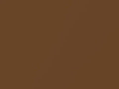 Medium Saddle Metallic touch-up paint for Ford, code AZ, M6581A, 1993