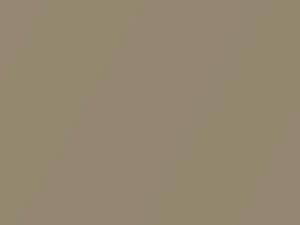 Mercedes-Benz S Class Kalahari Gold Beige Metallic touch up paint 1802 2020 ClassS