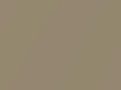 Mercedes-Benz S Class Kalahari Gold Beige Metallic touch up paint 1802 2020 ClassS