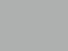 Argento Metallic touch-up paint for Ferrari, code 101, 101/C, 101C, 2020