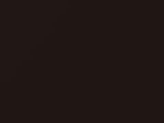 Dark Brown Metallic touch-up paint for Infiniti QX80, code CAS, 2016