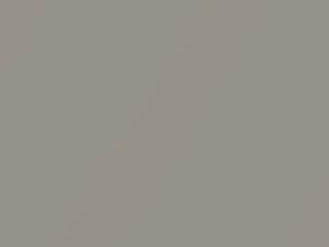 Silver Graphite Metallic touch-up paint for Toyota, code 1D9, 2001