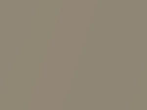 Caravan IVory Metallic touch-up paint for Suzuki Xbee, code ZYL, 2019