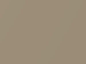 Volkswagen Sandstone Metallic touch up paint J9 2016 All Models