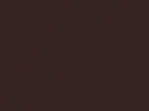 Brown Metallic touch-up paint for Nissan Murano, code C15, 2008