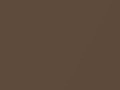 Audi Bronzo Montecarlo Metallic touch up paint 226718 2018 R8