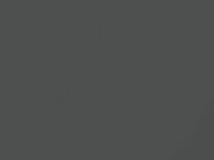 Titan Gray Metallic touch-up paint for Isuzu, code N040, N040P901-0, 2002