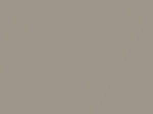 Beige Metallic touch-up paint for Toyota, code 4R0, 2003
