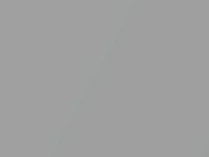 Platinum Metallic touch-up paint for Nissan, code KN0, 2002