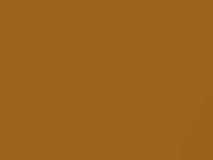 Sundance Gold Metallic touch-up paint for Honda, code YR529P, 1998