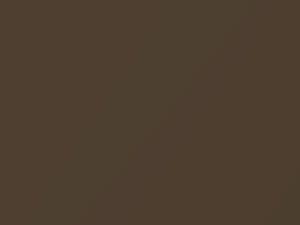 Desert Bronze Metallic touch-up paint for Ford, code 37P, 2012