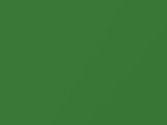 Apple Green Metallic touch-up paint for Nissan, code JT0, 2002