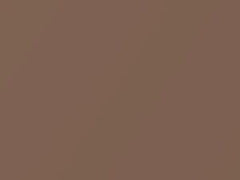 Sunset Bronze Pearl touch-up paint for Nissan Murano, code CAG, 2012
