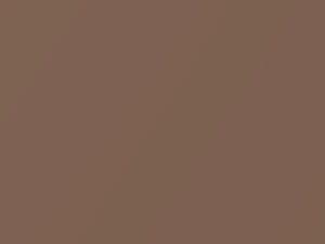 Sunset Bronze Pearl touch-up paint for Nissan Murano, code CAG, 2012