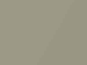 Gloaming Silver Metallic touch-up paint for Ford, code 28N, 37Y, 2010