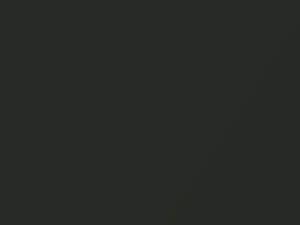 Dark Grayish Olive Metallic touch-up paint for Toyota, code 6M7, 1994