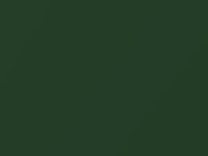 Green Iron Oxide Pearl touch-up paint for Nissan Hardbody, code DS2, 2019