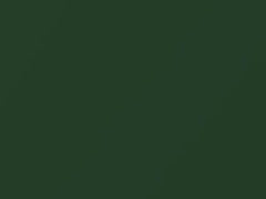 Green Iron Oxide Pearl touch-up paint for Nissan Xterra, code DS2, 2003