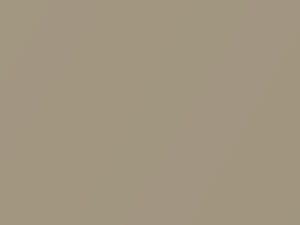 Volkswagen Stormbeige Metallic touch up paint 1W 2018 All Models