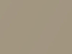 Volkswagen Stormbeige Metallic touch up paint 1W 2016 All Models