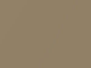 Moonlight Beige Metallic touch-up paint for Honda, code YR516M, 2017