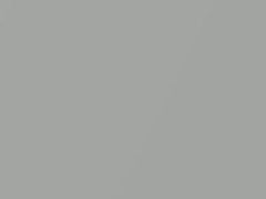 Liquid Silver Metallic touch-up paint for Kia, code S3, 2009